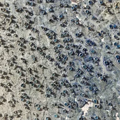 Venus Emerges Beige Textured Resin Painting