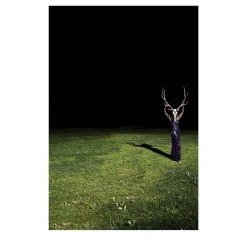 Viaggio al Termine della Notte Photography #2