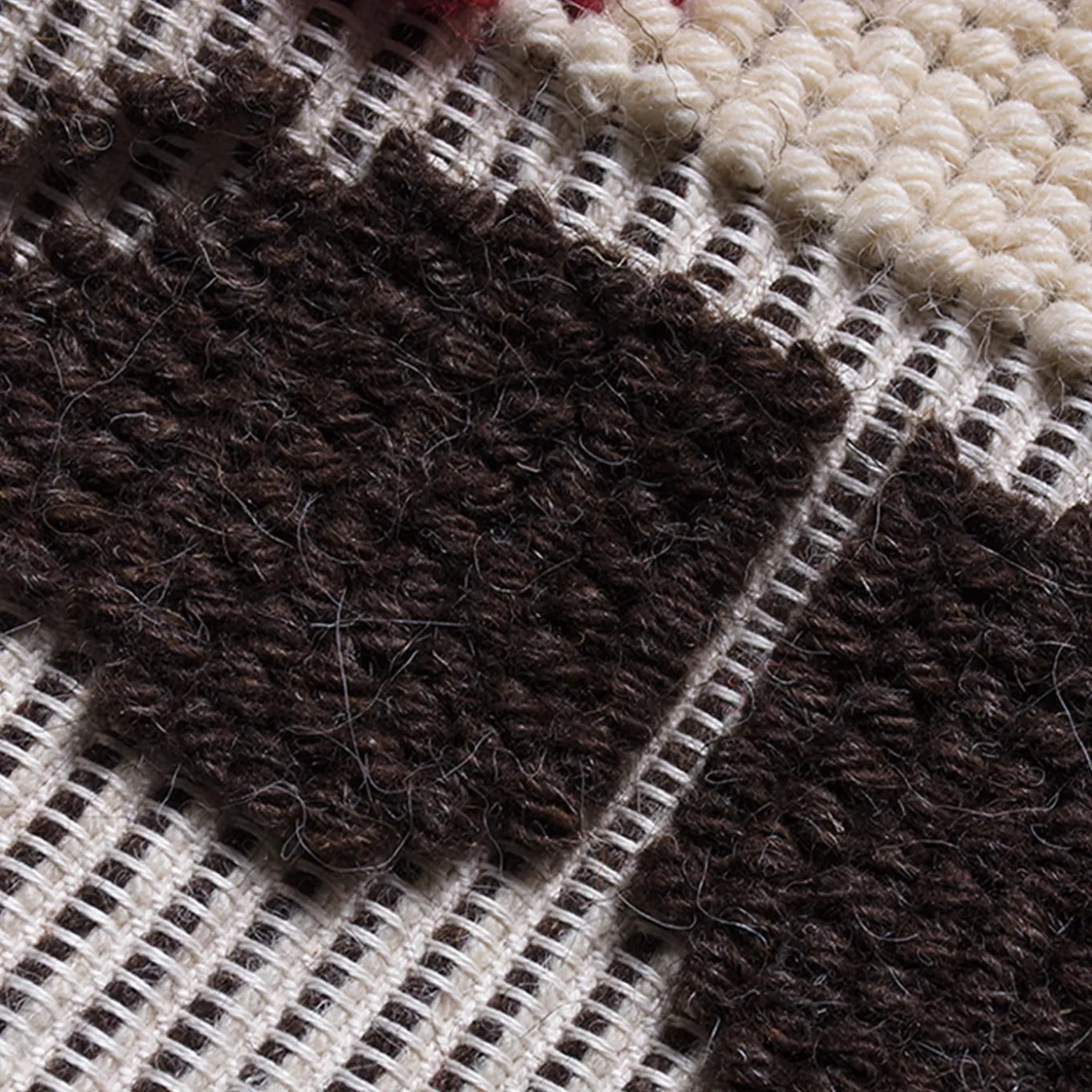 Viso e Rami Rug by Anna Godeassi