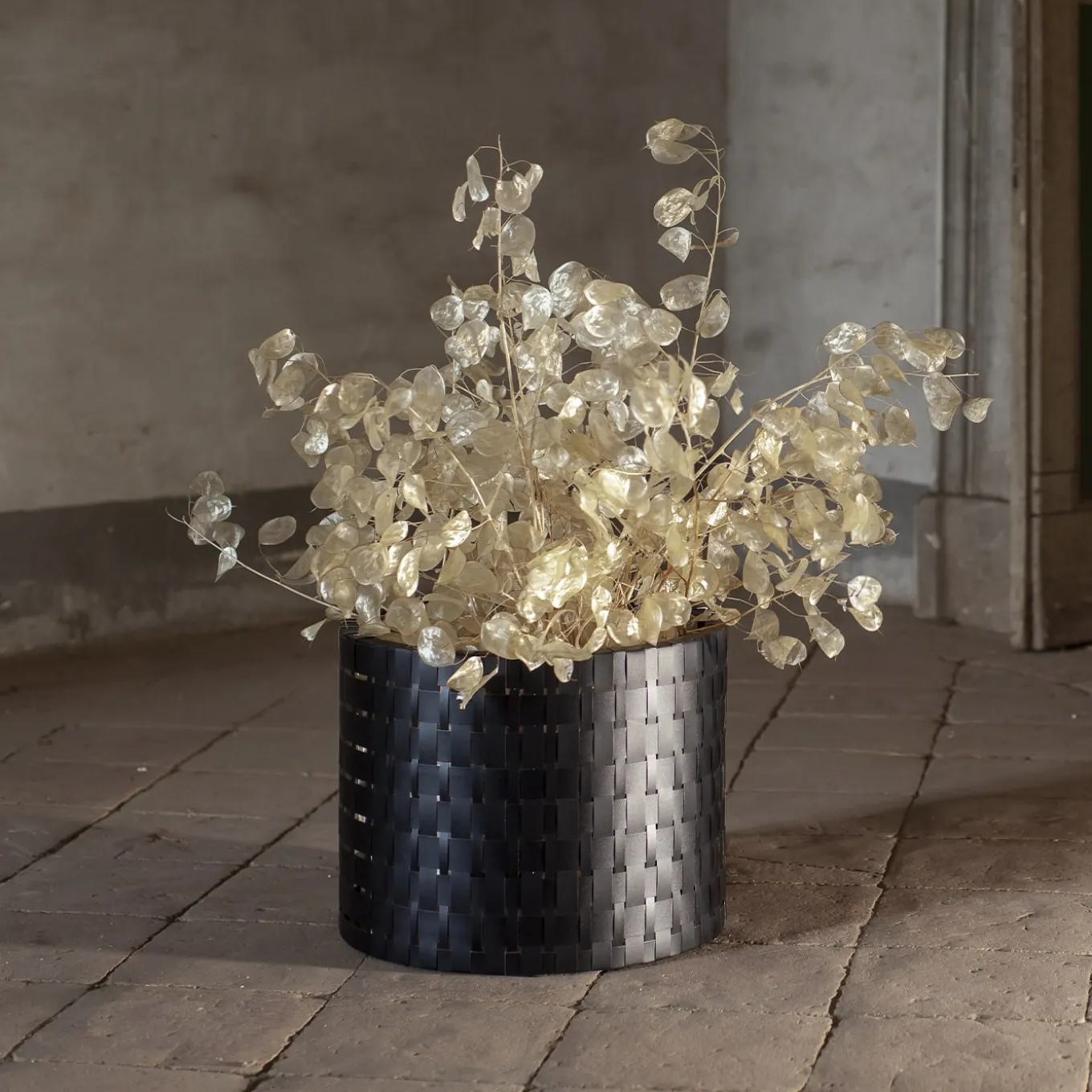 Vitis Black Abatellis Cachepot