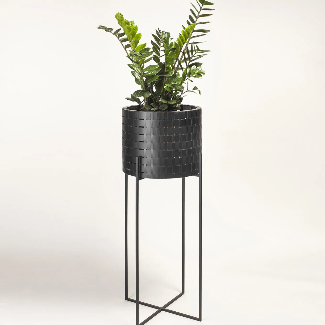 Vitis Nexum Tall Black Abatellis Cachepot