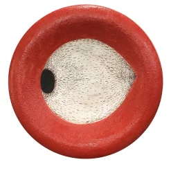 Wall Plate Red