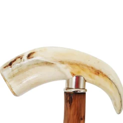 Warthog Tooth Walking Stick