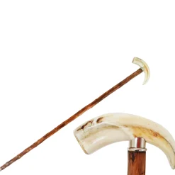 Warthog Tooth Walking Stick