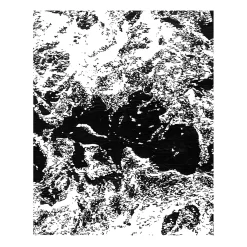 Waves, Koh Samui Drawing