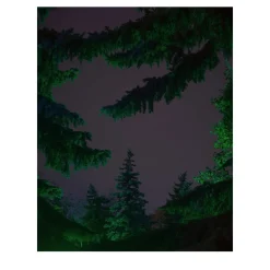 Where the Light Falls Before I Leave #1 Photograph