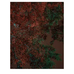 Where the Light Falls Before I Leave #2 Photograph