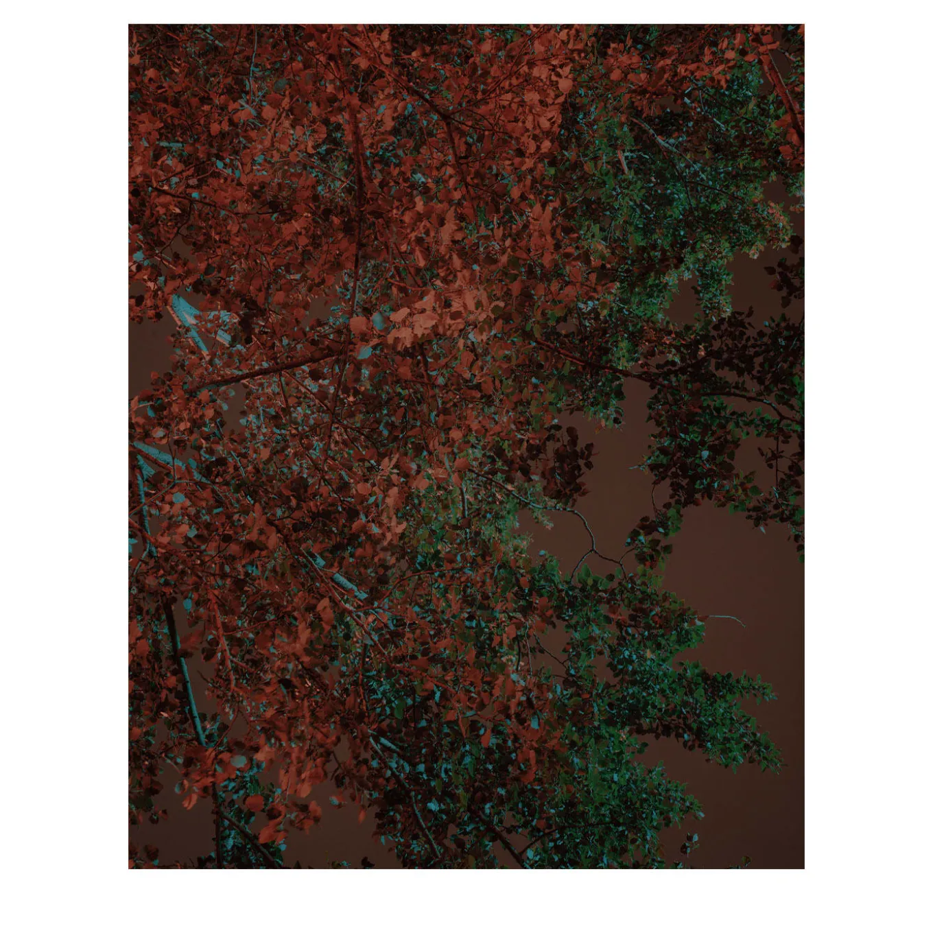 Where the Light Falls Before I Leave #2 Photograph