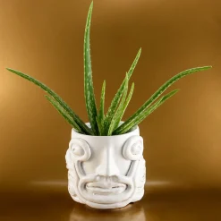 White Eye Vase