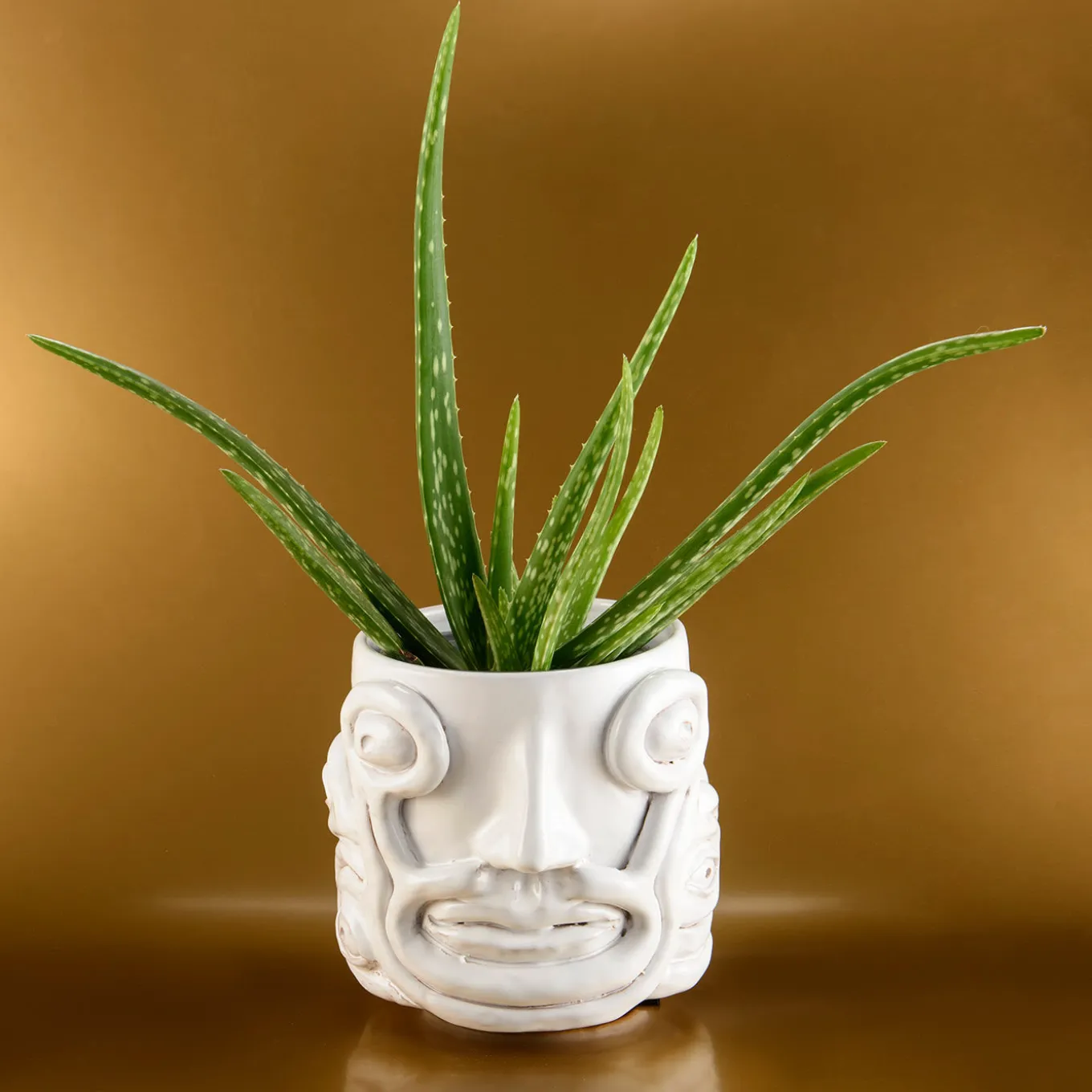 White Eye Vase