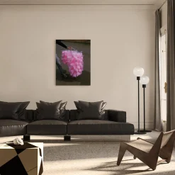 Zucchero Filato Photographic Print